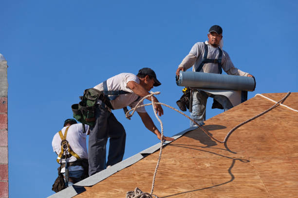 Quick and Trustworthy Emergency Roof Repair Services in Princeton, MN