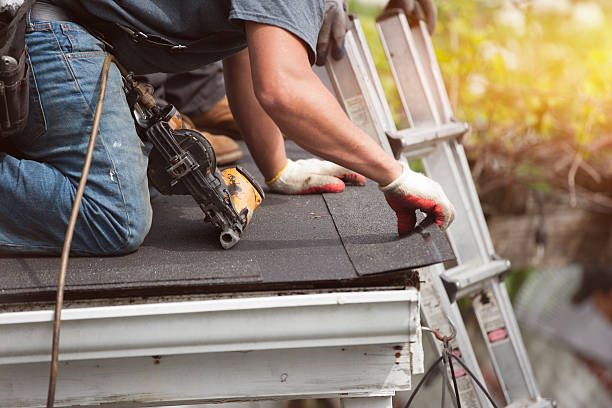 Best Roof Gutter Cleaning  in Princeton, MN